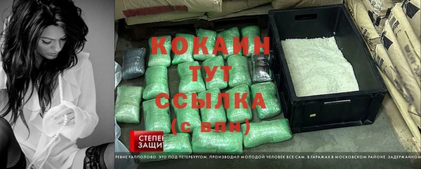 соль курить ск Белокуриха