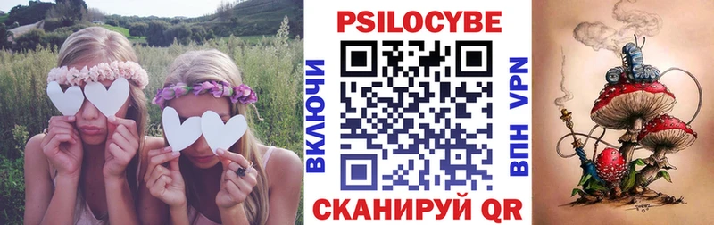 KRAKEN рабочий сайт  Верея  Галлюциногенные грибы Cubensis  купить наркоту 