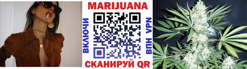 Марихуана гибрид Верея